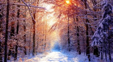 SMALL-nature_winter_sunrise_wallpaper-